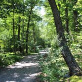 Review photo of Rosemount Camping Resort by John B., August 13, 2021