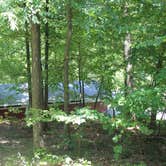 Review photo of Rosemount Camping Resort by John B., August 13, 2021