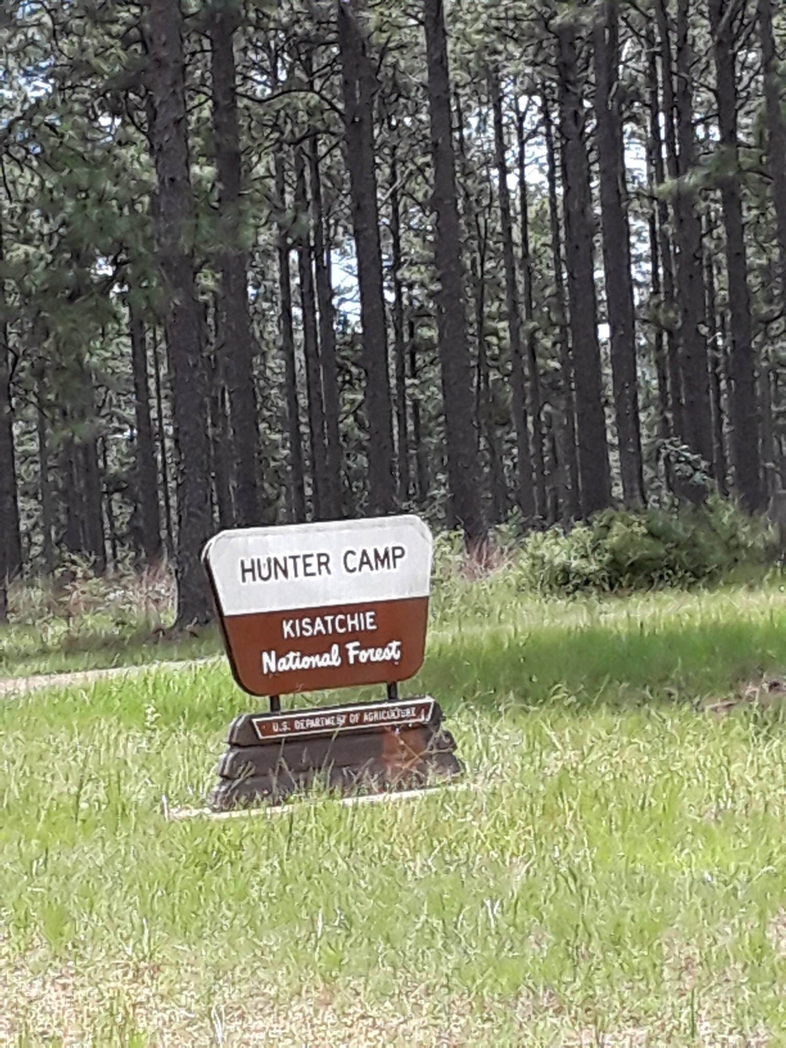 Camper submitted image from Hunters Camp - Calcasieu Ranger District - 2