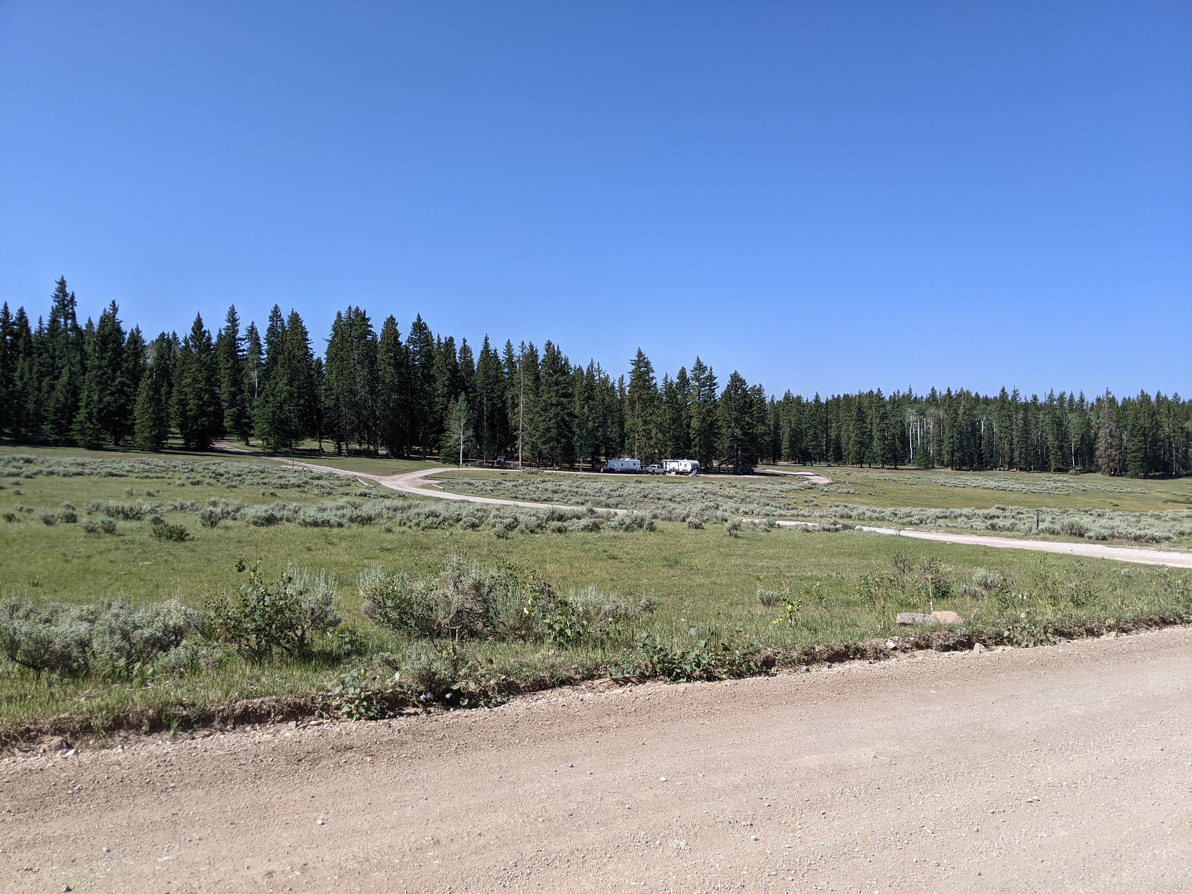 Best camping in Ashley National Forest The Dyrt