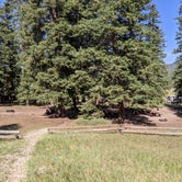Review photo of Iron Springs Group Campground - Ashley National Forest by Greg L., August 13, 2021