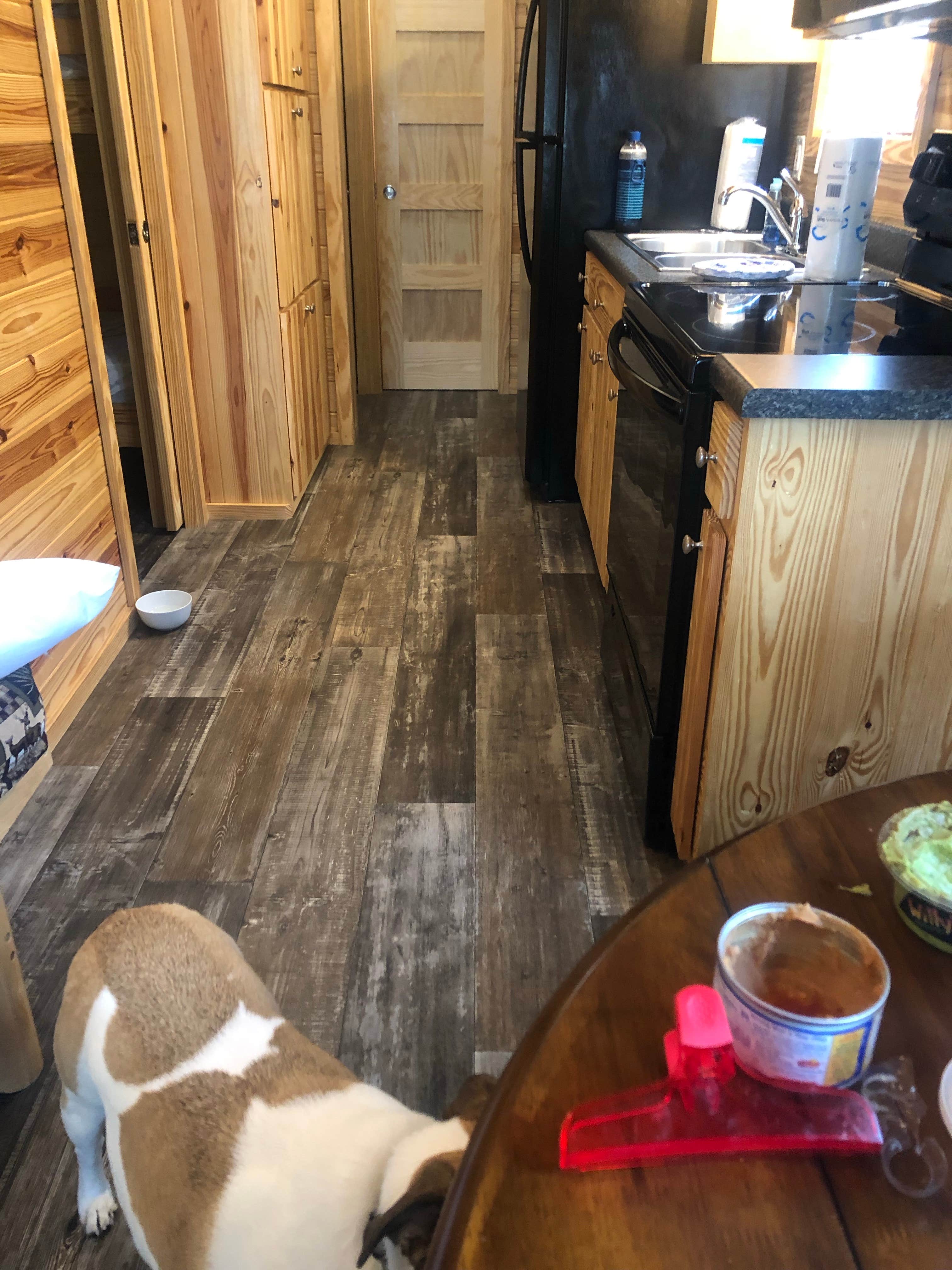 Heather H.'s photo of camping with pets at Bonanza Campground near Wisconsin Dells, WI