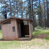 Review photo of Hunters Camp - Calcasieu Ranger District by Paula W., June 18, 2018