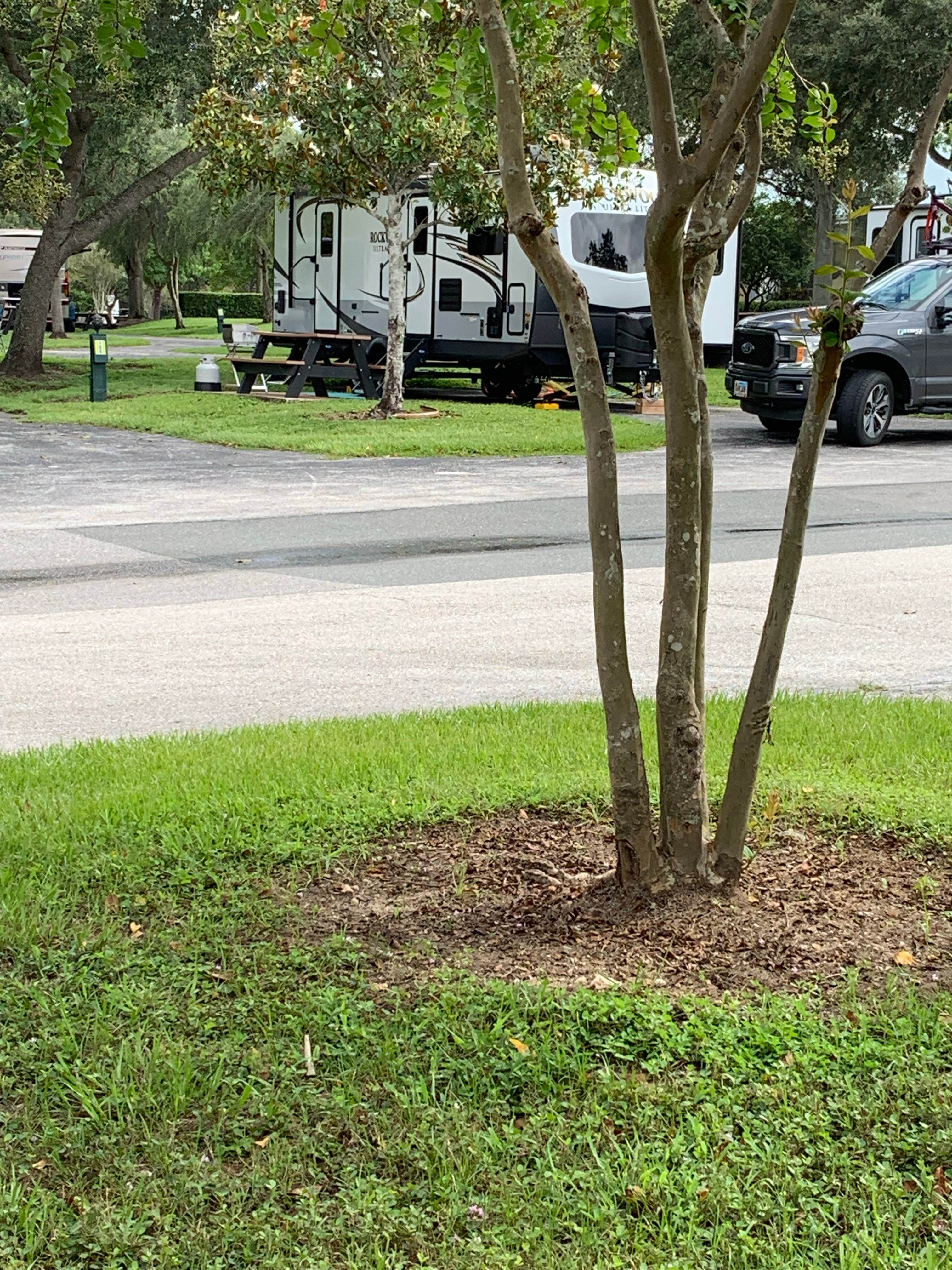 Ray P.'s photo of rv camping at Lazydays RV Resort near Tampa, FL