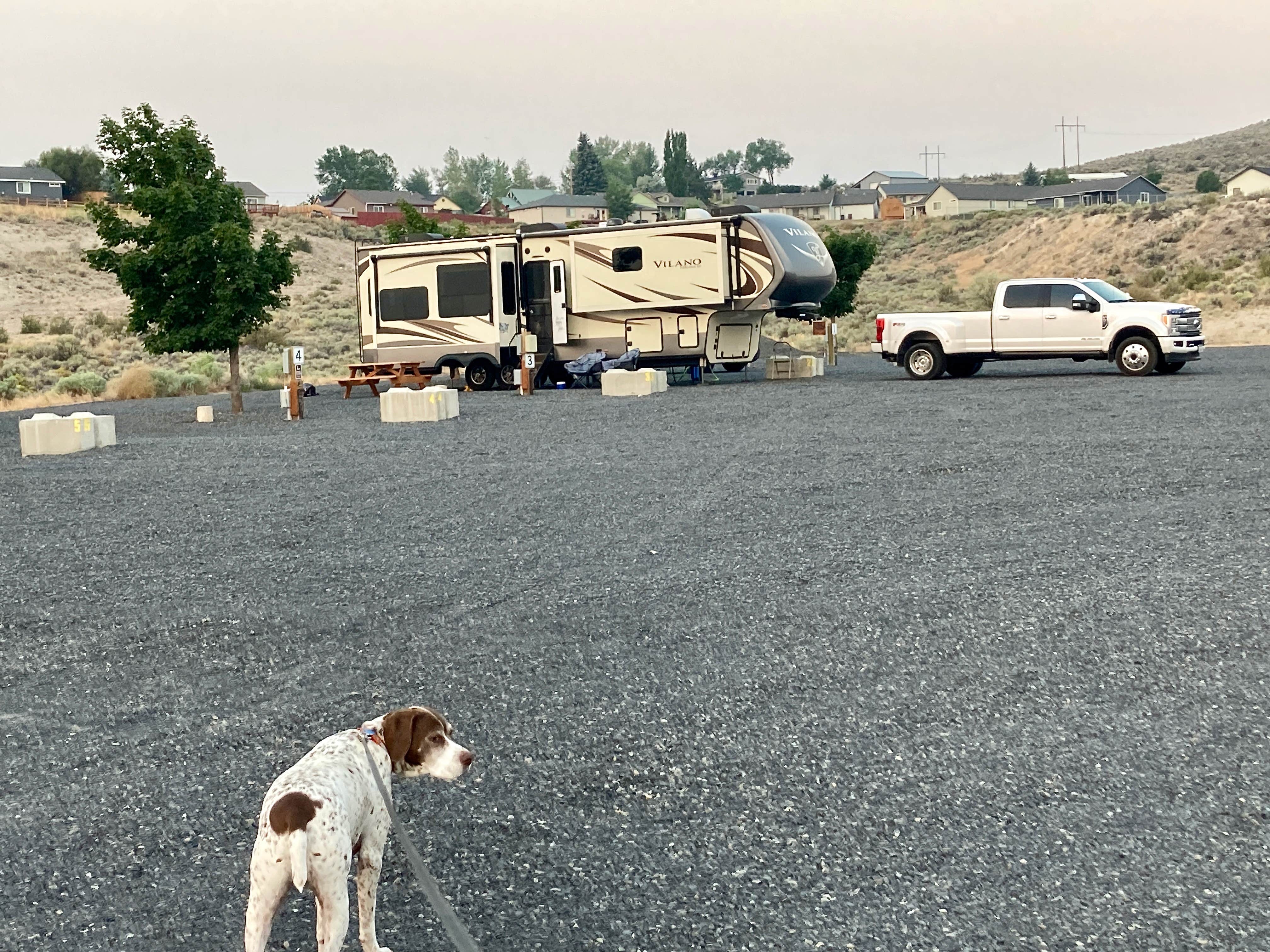 Camper submitted image from Bosch's Big Bear RV Park - 2