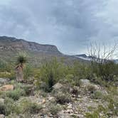 Review photo of Oliver Lee Memorial State Park — Oliver Lee State Park by Kim L., August 13, 2021
