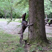 Review photo of Harmonie State Park Campground by Jan S., August 13, 2021
