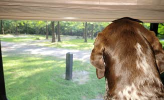 Jan S.'s photo of camping with pets at Harmonie State Park Campground near Owensboro, KY