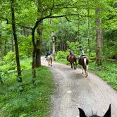 Review photo of Cades Cove Campground by Katie B., August 13, 2021