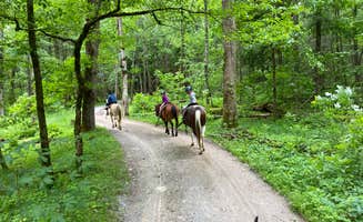 Katie B.'s photo of camping with a horse at Cades Cove Campground near Marble, NC