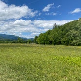 Review photo of Cades Cove Campground by Katie B., August 13, 2021