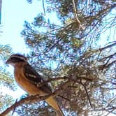 Review photo of Bluewater Lake State Park Campground by Sharron D., August 13, 2021