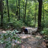 Review photo of Timbuktu Campground — Echo Bluff State Park by Katie B., August 13, 2021