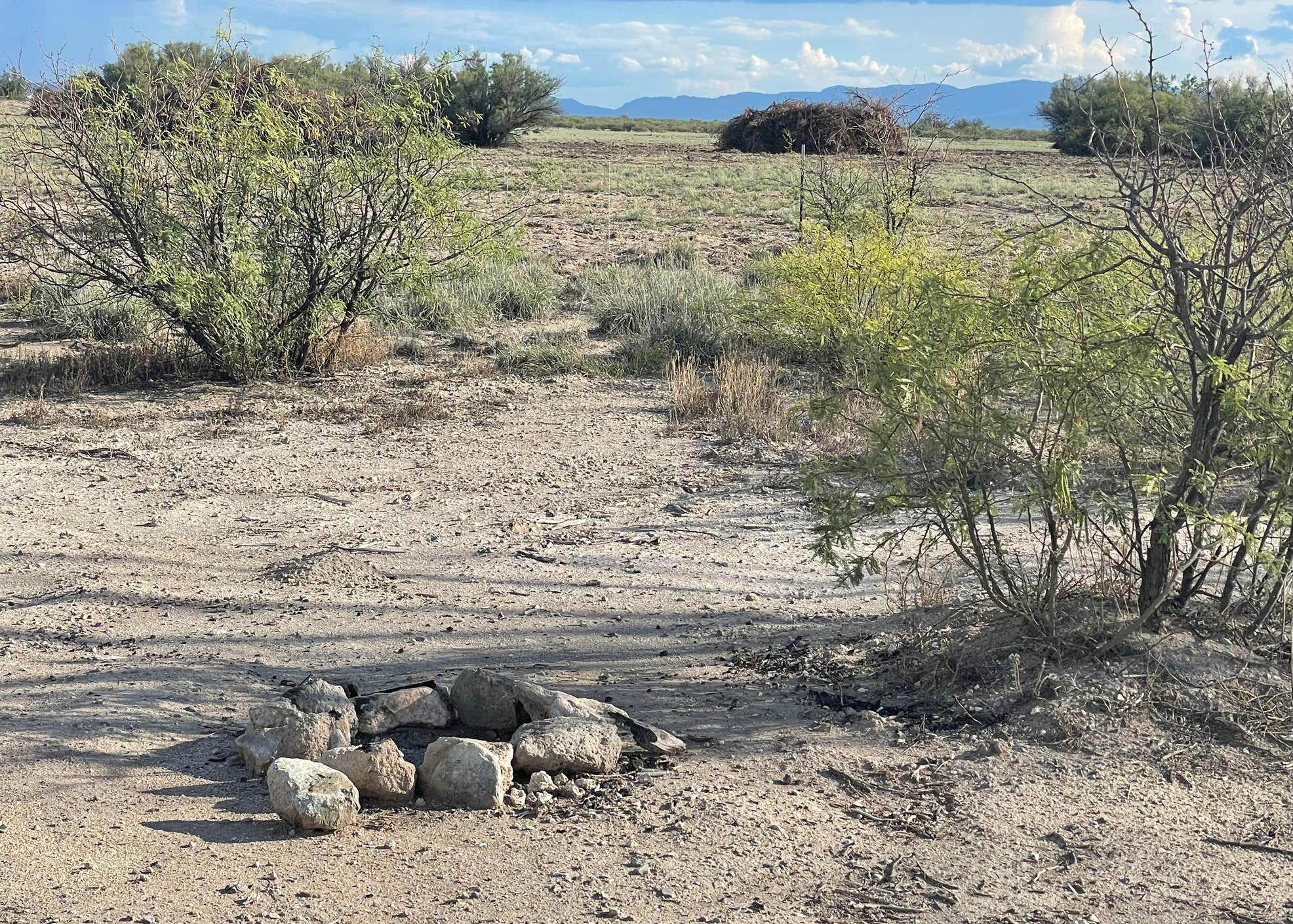 Wilcox Playa Viewing Area Dispersed Camping Camping Willcox, AZ