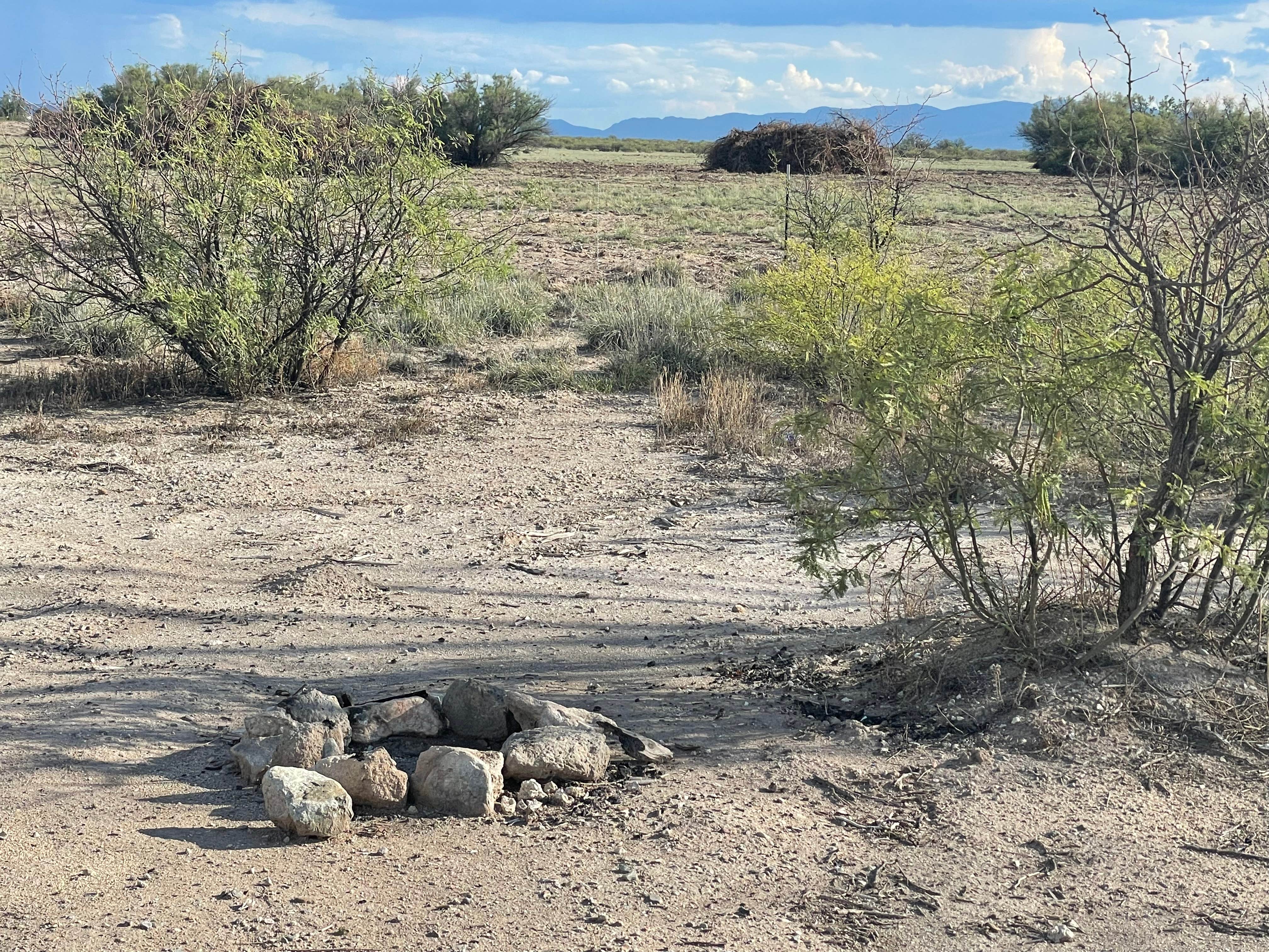 Camper submitted image from Wilcox Playa Viewing Area - Dispersed Camping - 1