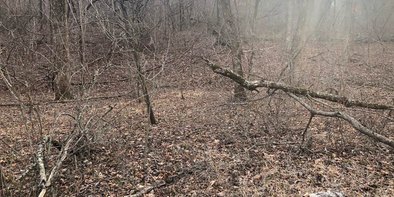 Camper submitted image from Sunklands Conservation Area