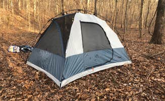 Katie B.'s photo at Sunklands Conservation Area near Bunker, MO
