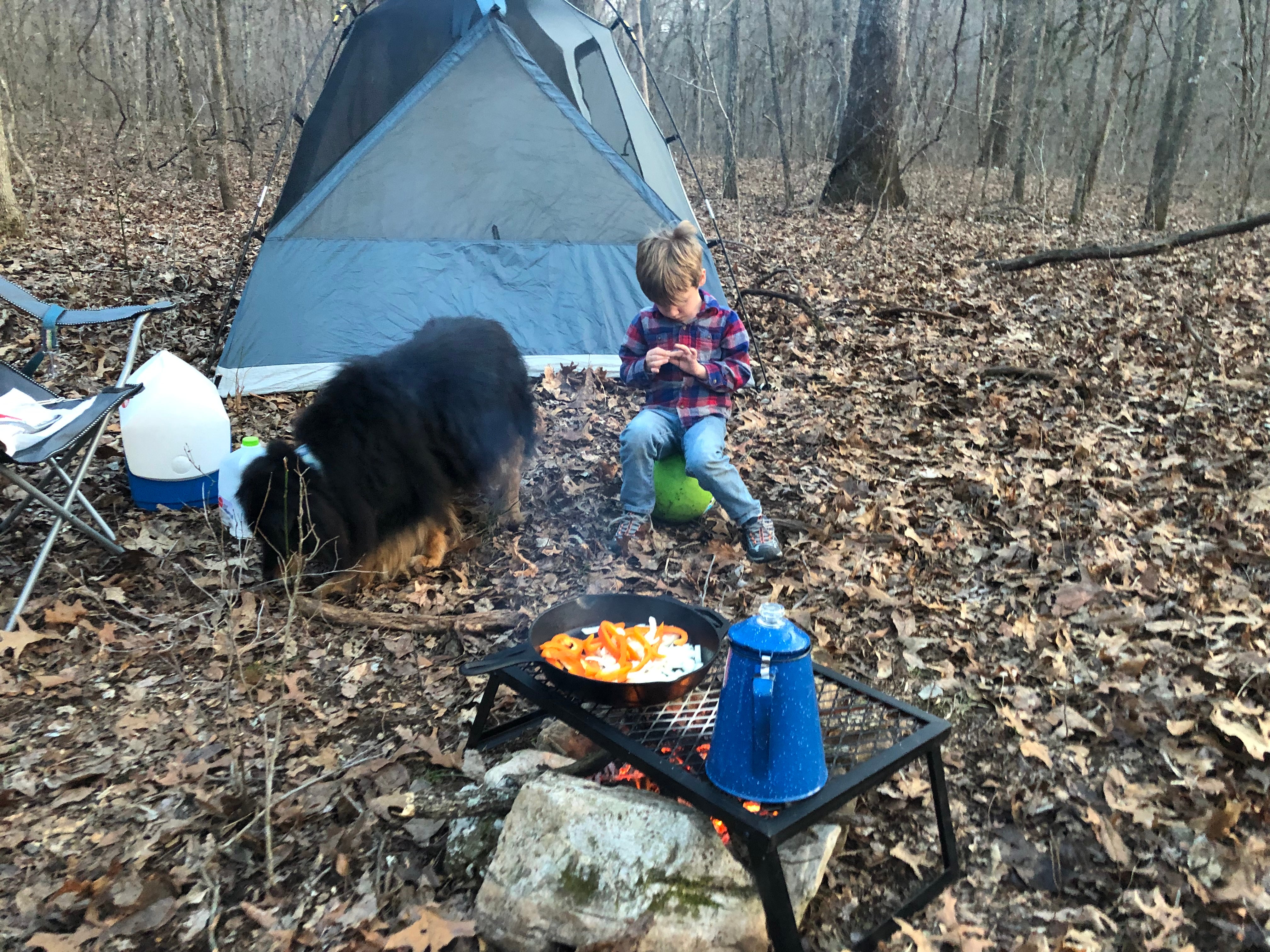Camper submitted image from Sunklands Conservation Area - 5
