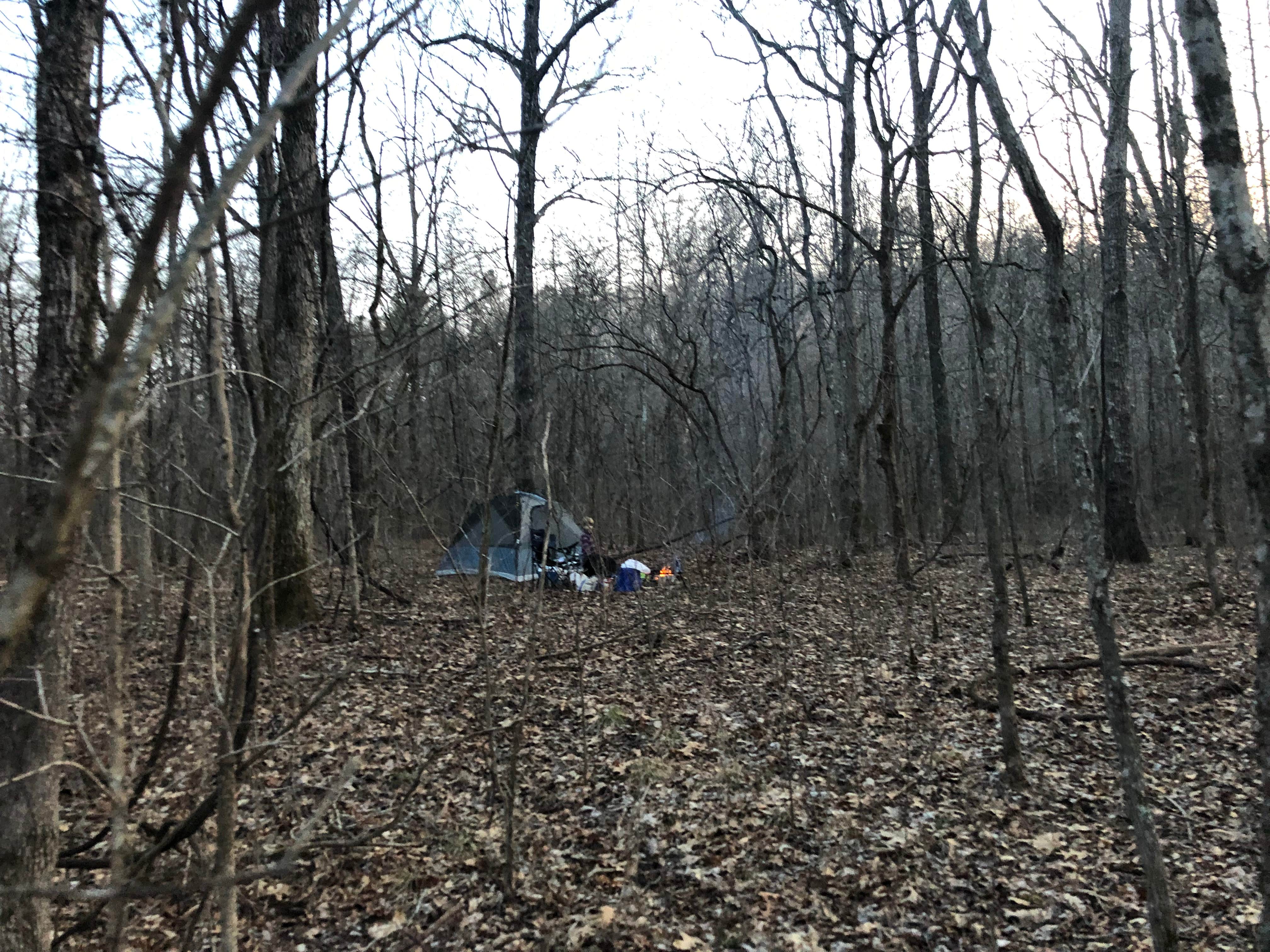 Camper-submitted photo at Sunklands Conservation Area near Hartshorn, MO