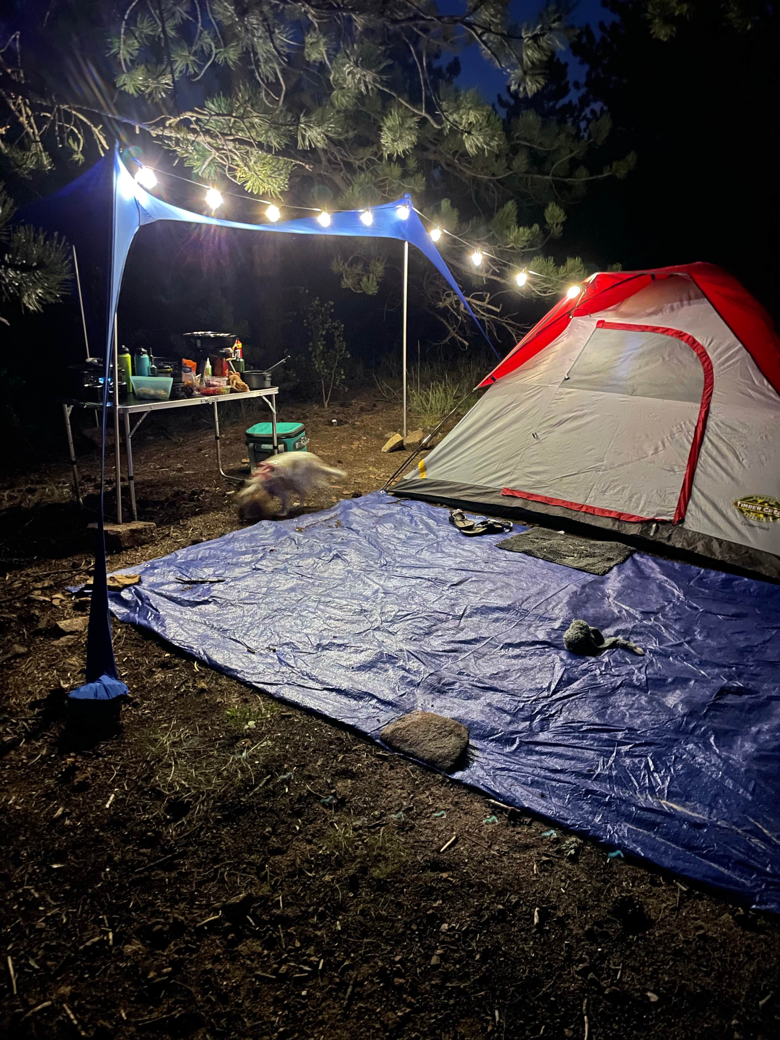 Camper submitted image from Gold Lake Area Dispersed - 3