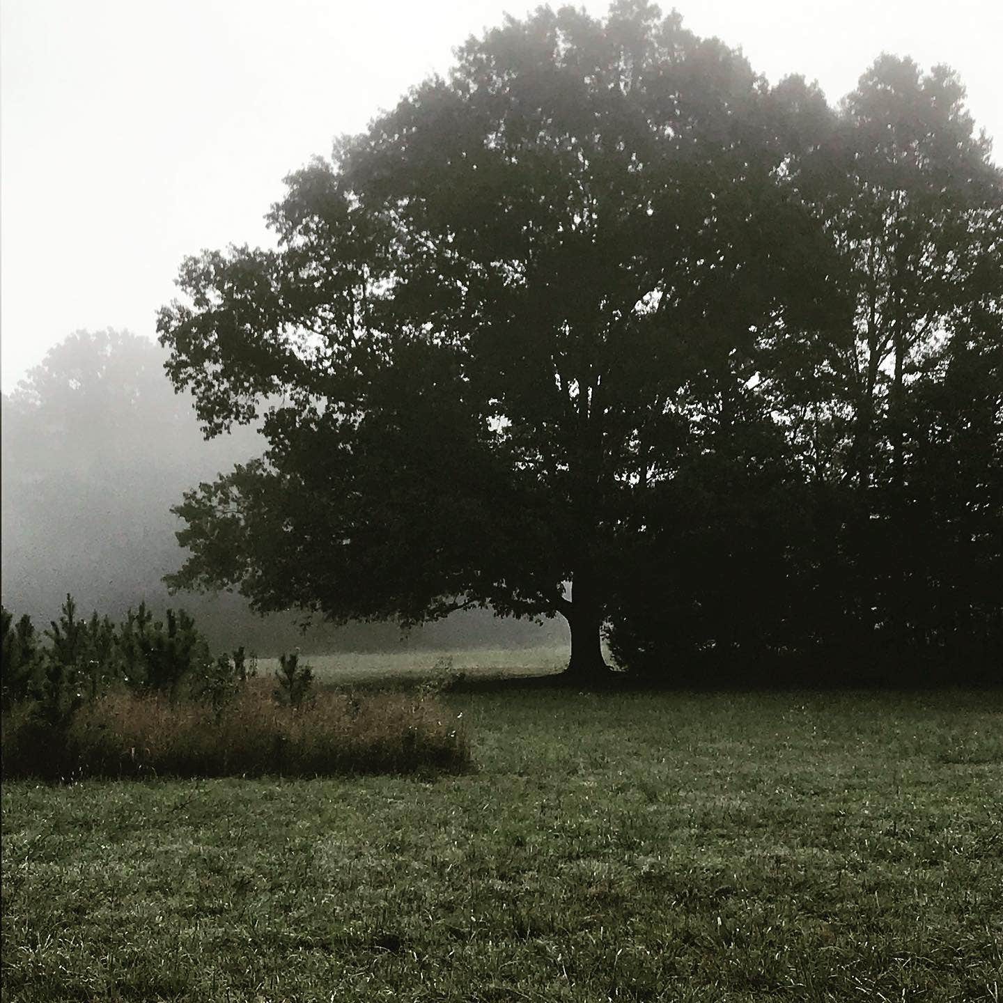 Camping near Cox Lake: Pinecrest Camp and Retreat Center, La Grange, Tennessee