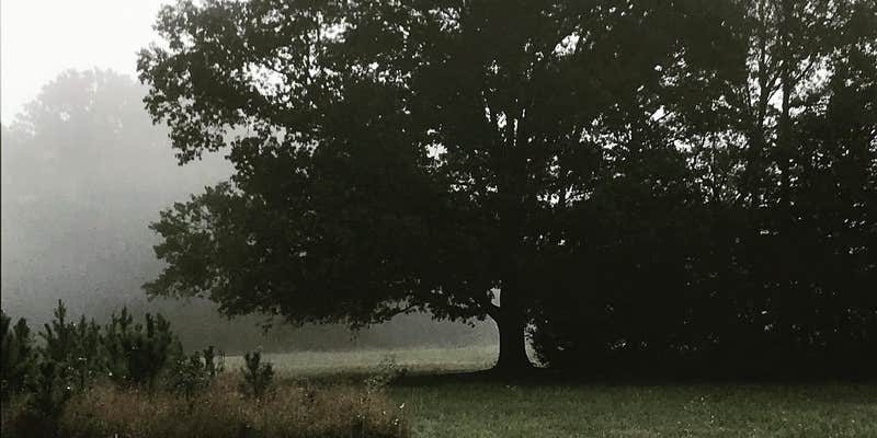 Camper submitted image from Pinecrest Camp and Retreat Center