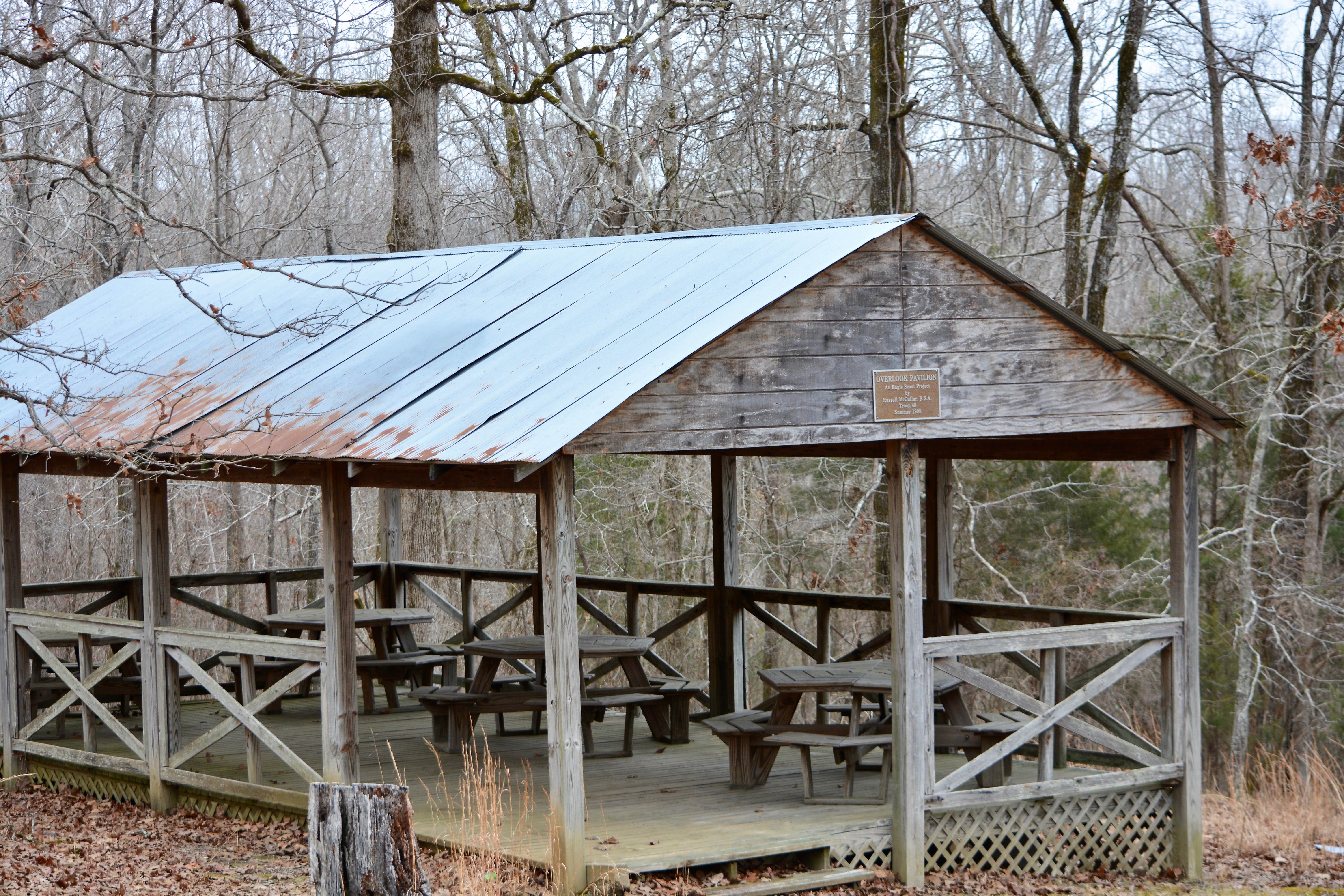 Camper submitted image from Pinecrest Camp and Retreat Center - 3