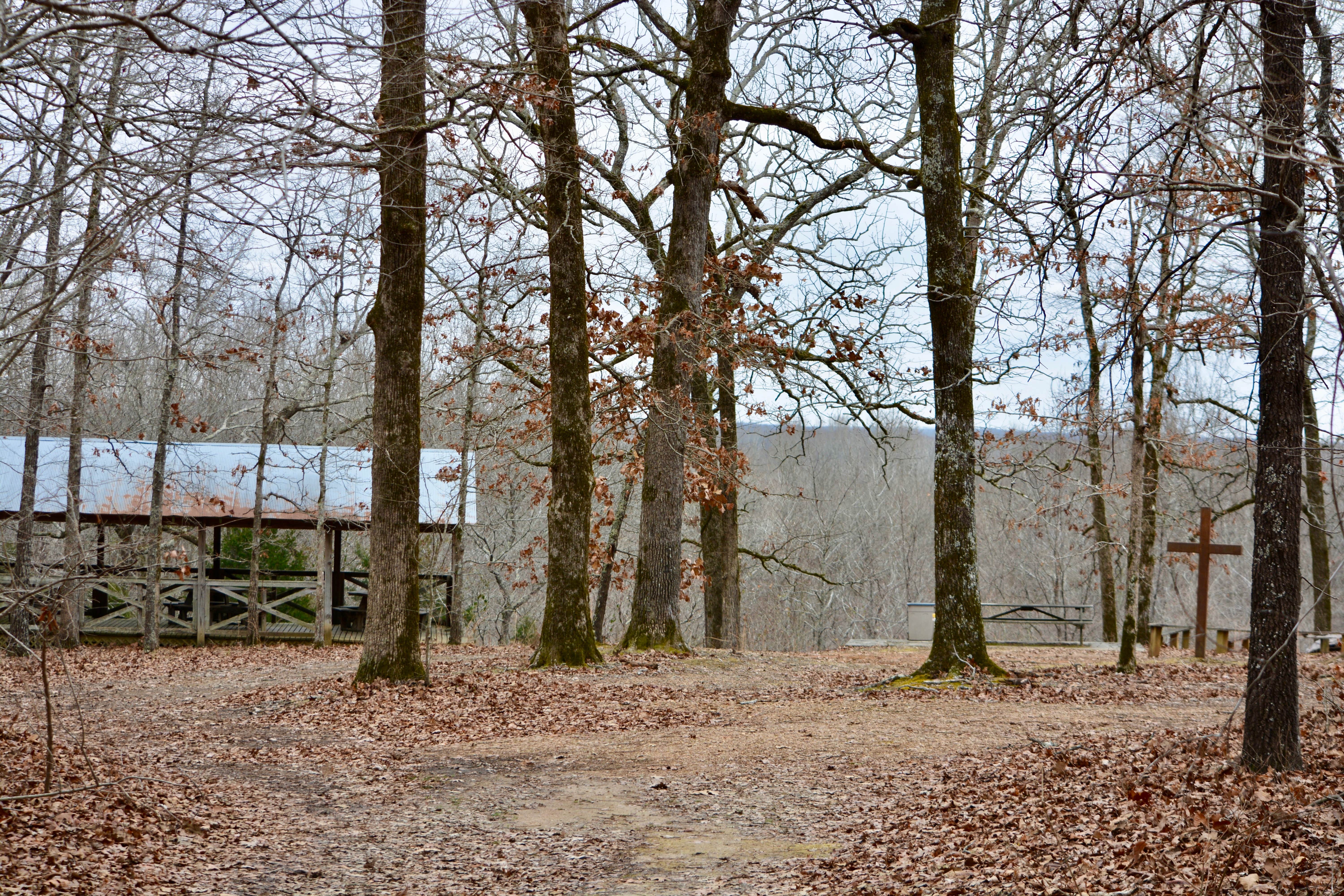 Camper-submitted photo at Pinecrest Camp and Retreat Center near Burlison, TN