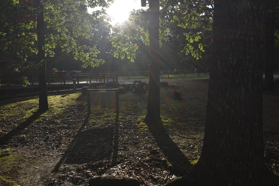 Camper-submitted photo at Pinecrest Camp and Retreat Center near Burlison, TN