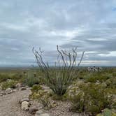Review photo of Oliver Lee Memorial State Park — Oliver Lee State Park by Kim L., August 13, 2021
