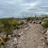 Review photo of Oliver Lee Memorial State Park — Oliver Lee State Park by Kim L., August 13, 2021
