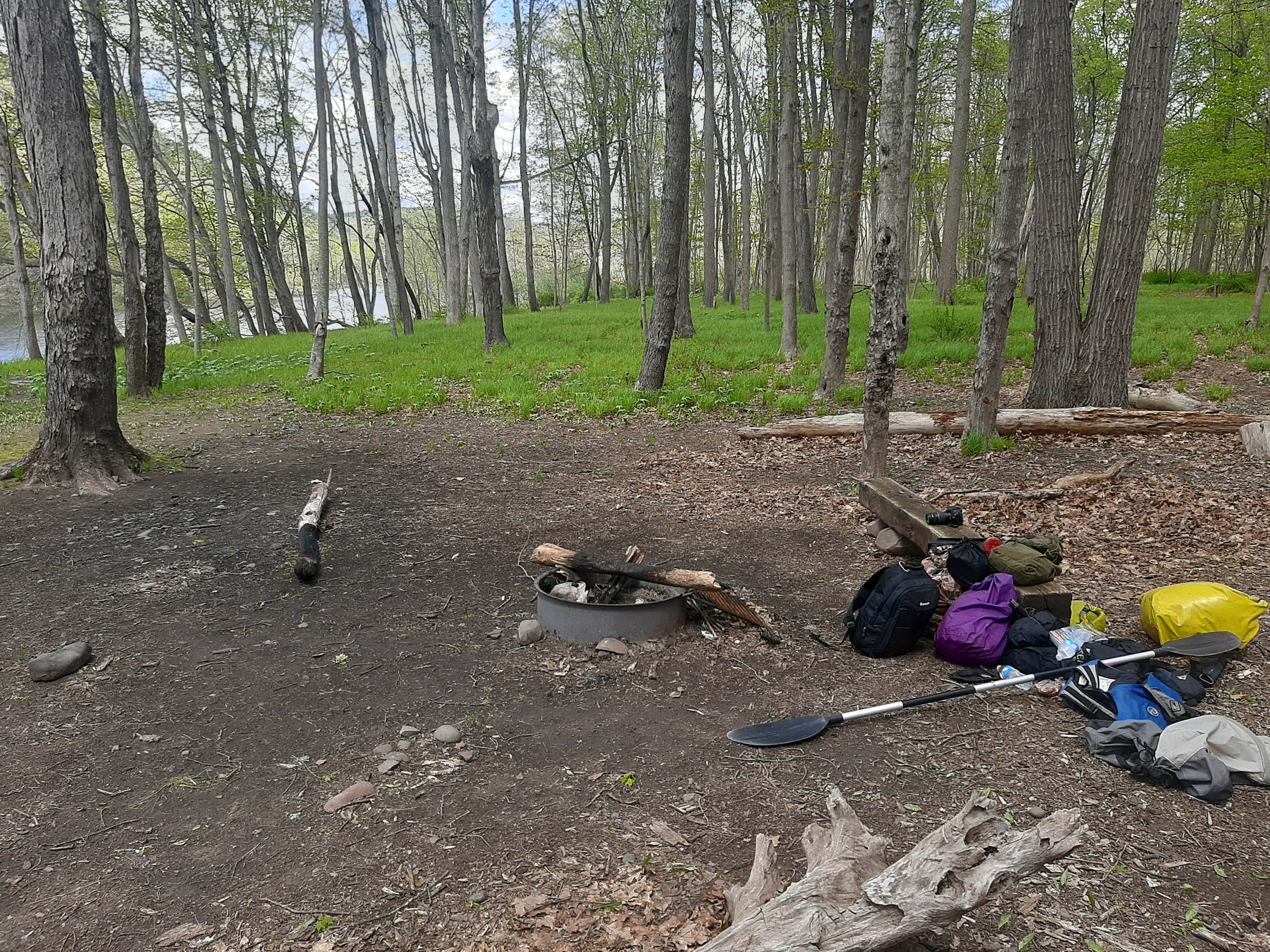 Best tent camping in New Jersey The Dyrt