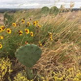 Review photo of Enchanted Rock State Natural Area by Troy W., June 18, 2018