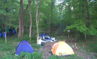 John B.'s photo of tent camping at Ratcliff's River Campsites — Delaware Water Gap National Recreation Area near Honesdale, PA