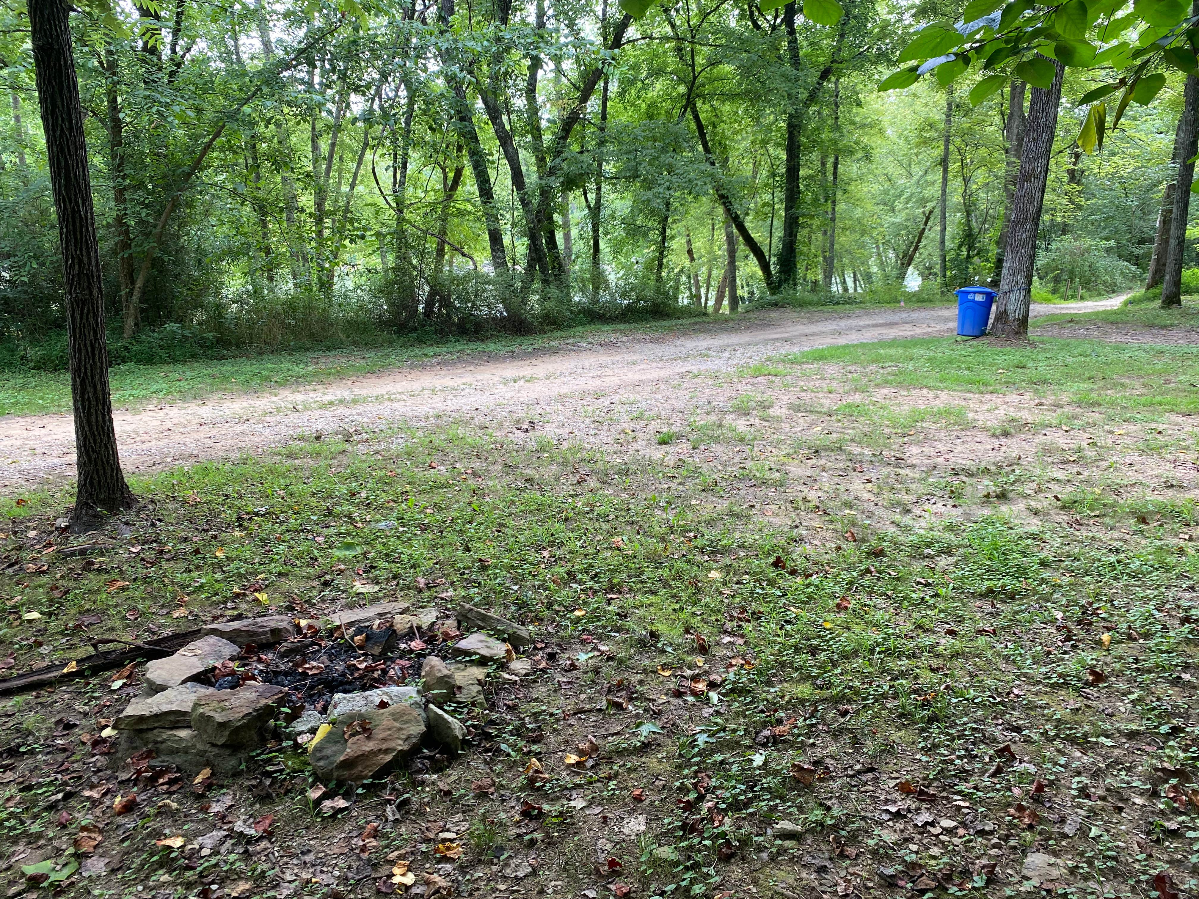 Camper-submitted photo at Clayton Geneva Memorial Campground near Stearns, KY
