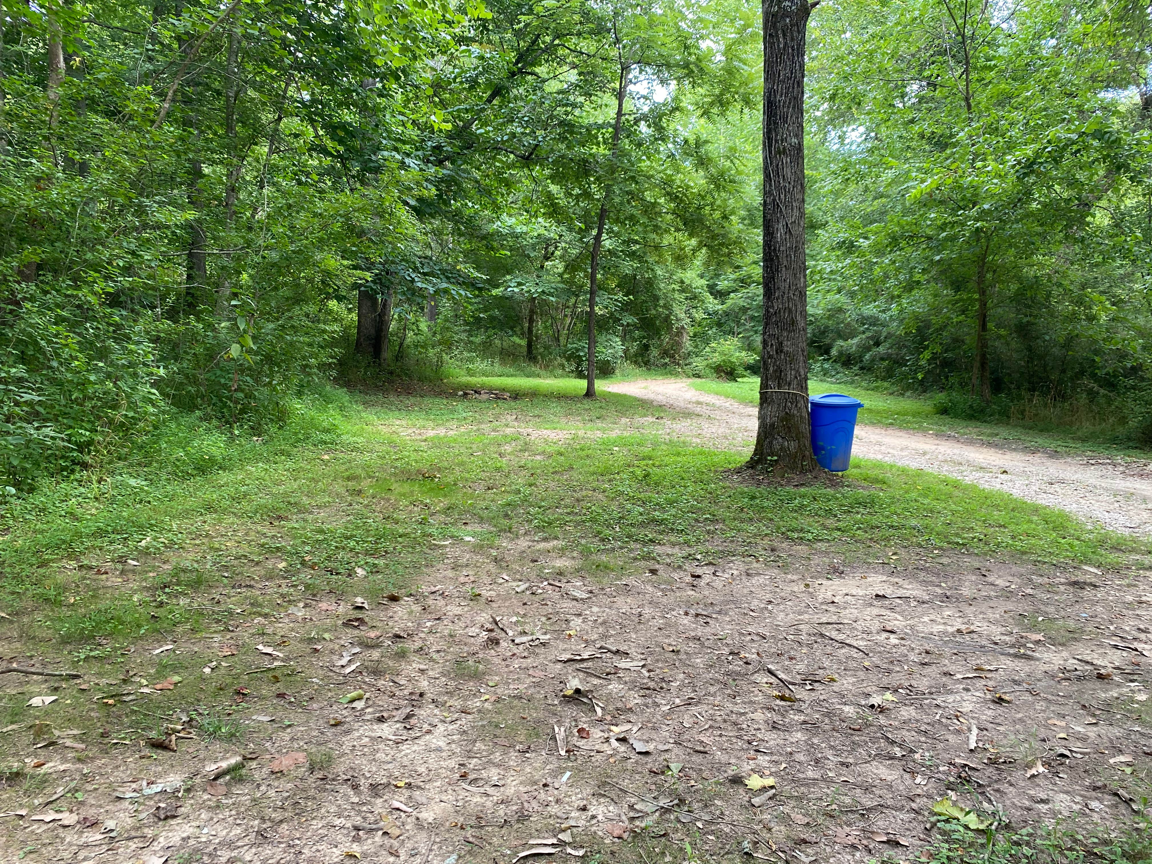 Camper-submitted photo at Clayton Geneva Memorial Campground near Stearns, KY