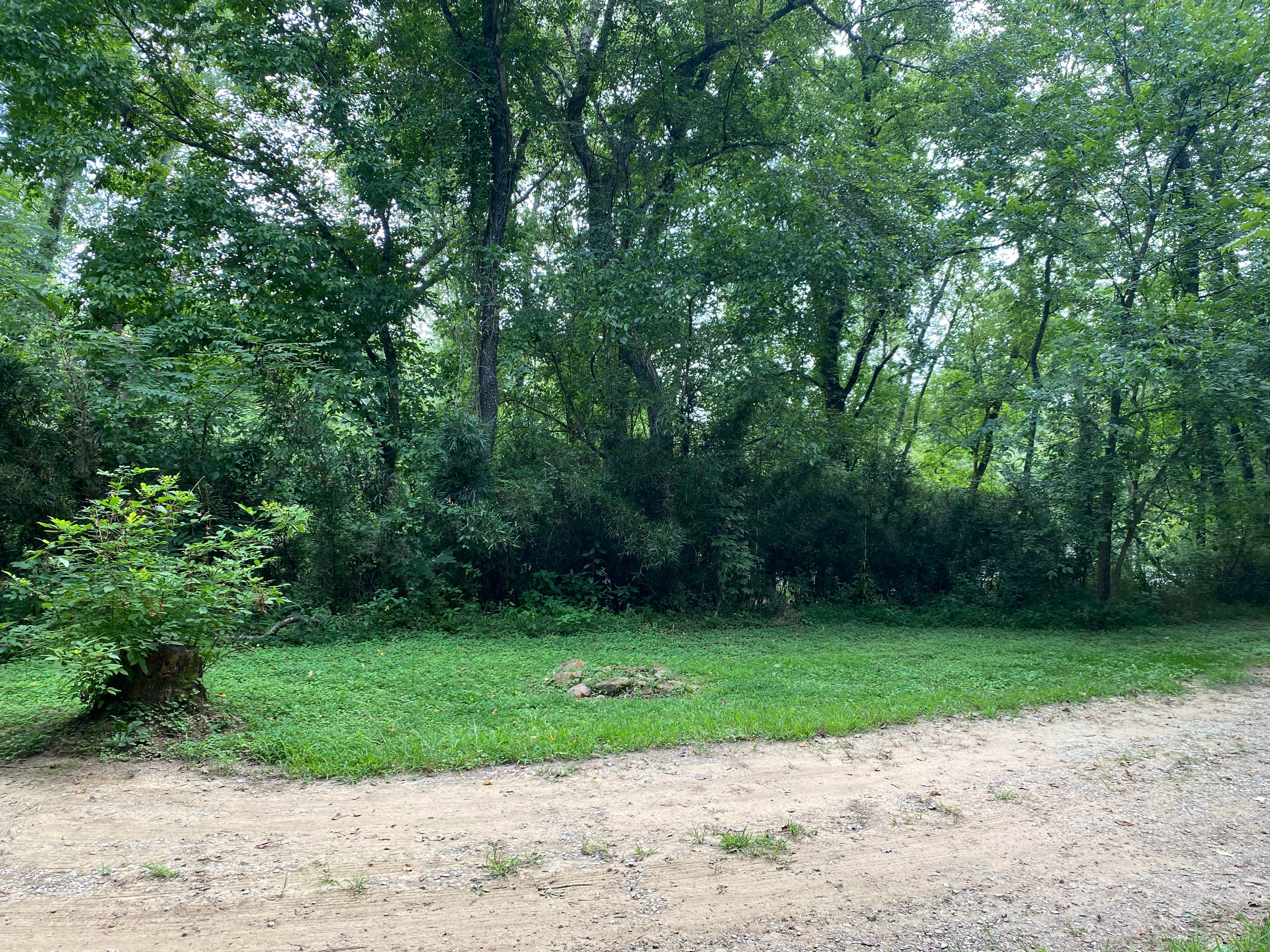 Camper-submitted photo at Clayton Geneva Memorial Campground near Stearns, KY