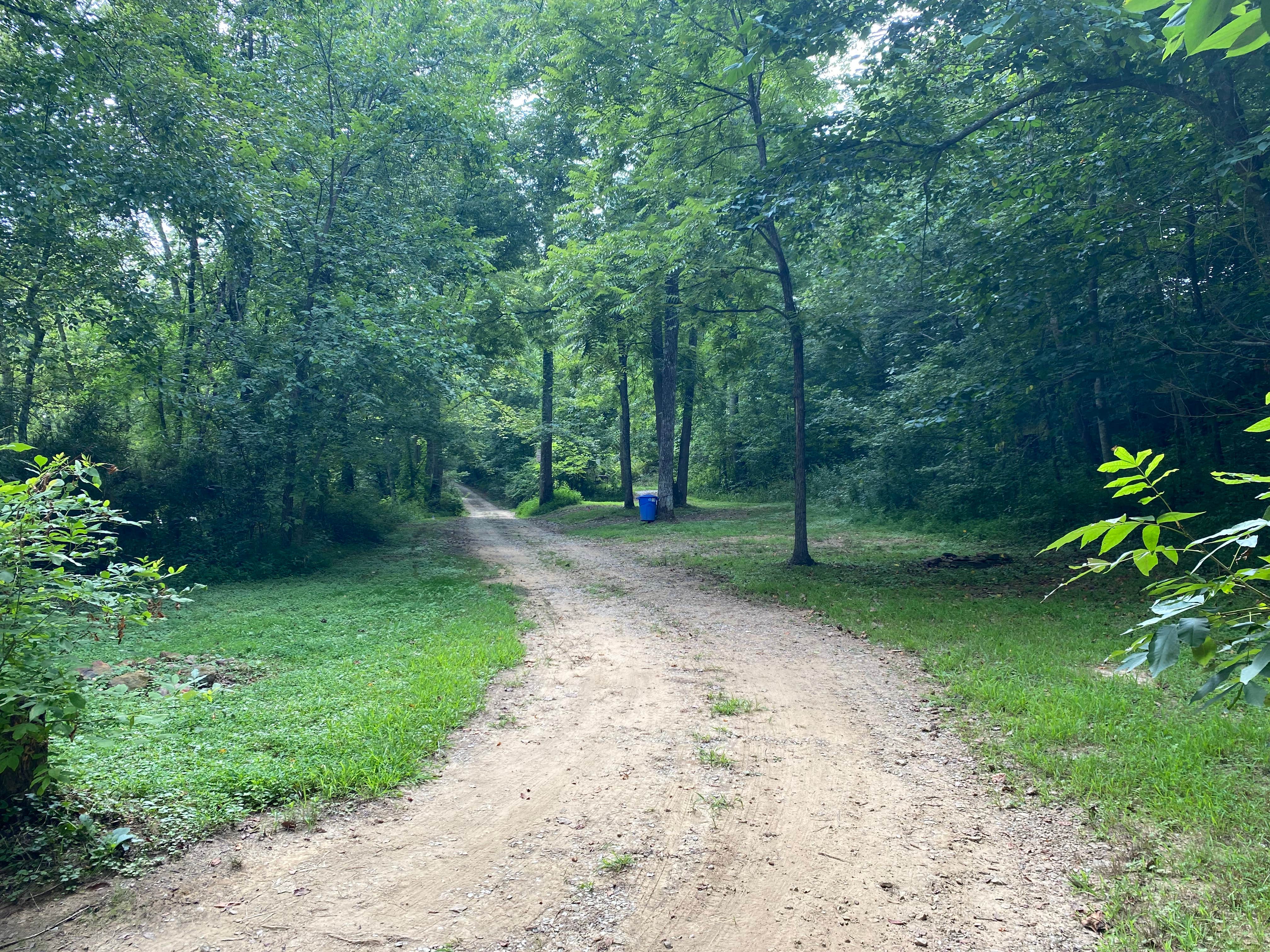 Camper-submitted photo at Clayton Geneva Memorial Campground near Stearns, KY