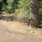 Review photo of Diamond Campground by Guillaume S., August 13, 2021