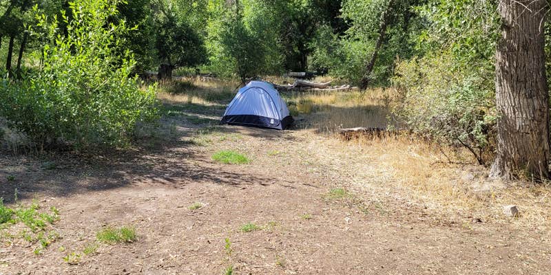 Camper submitted image from Diamond Campground