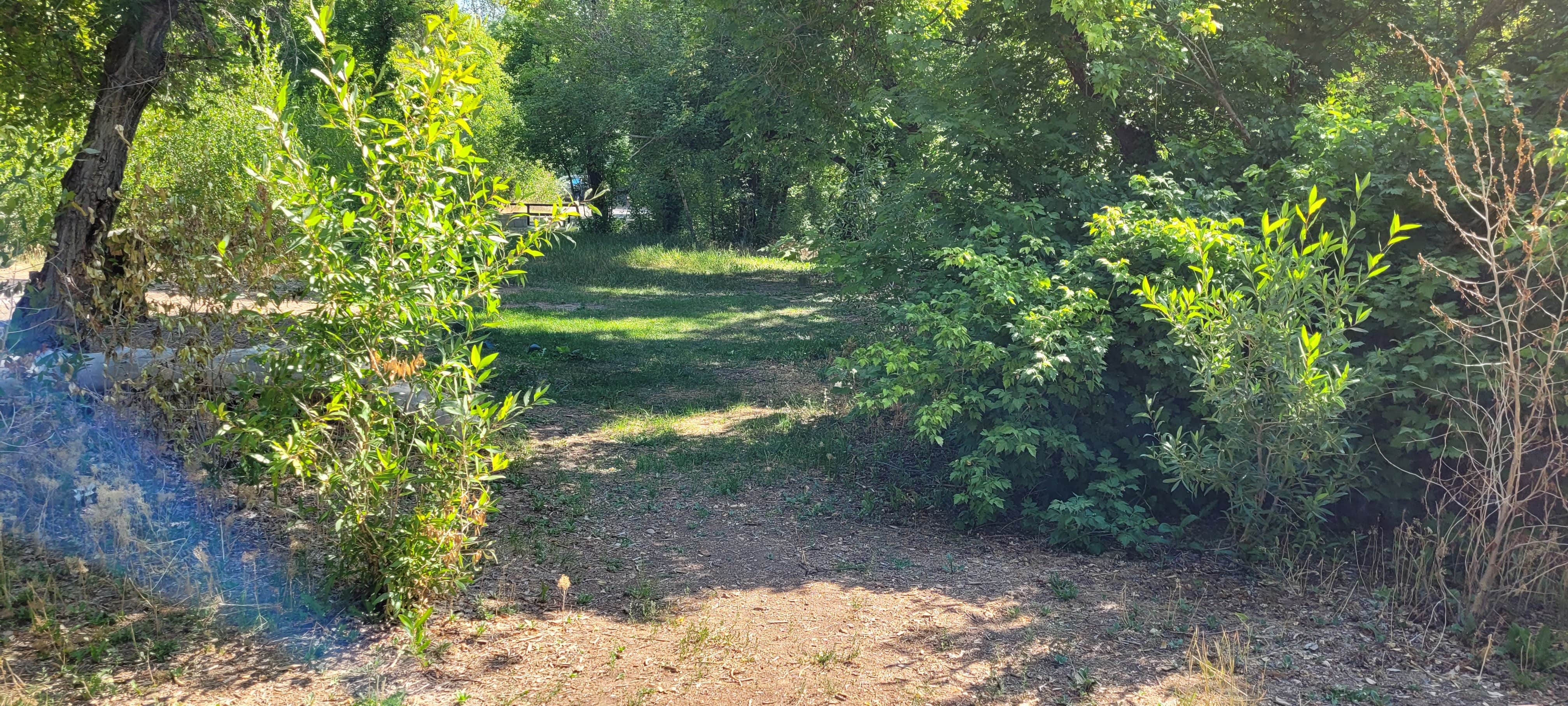 Camper-submitted photo at Diamond Campground near Santaquin, UT