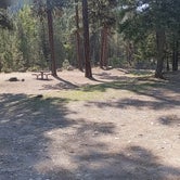 Review photo of Forks Montana FWP by Will M., August 14, 2021