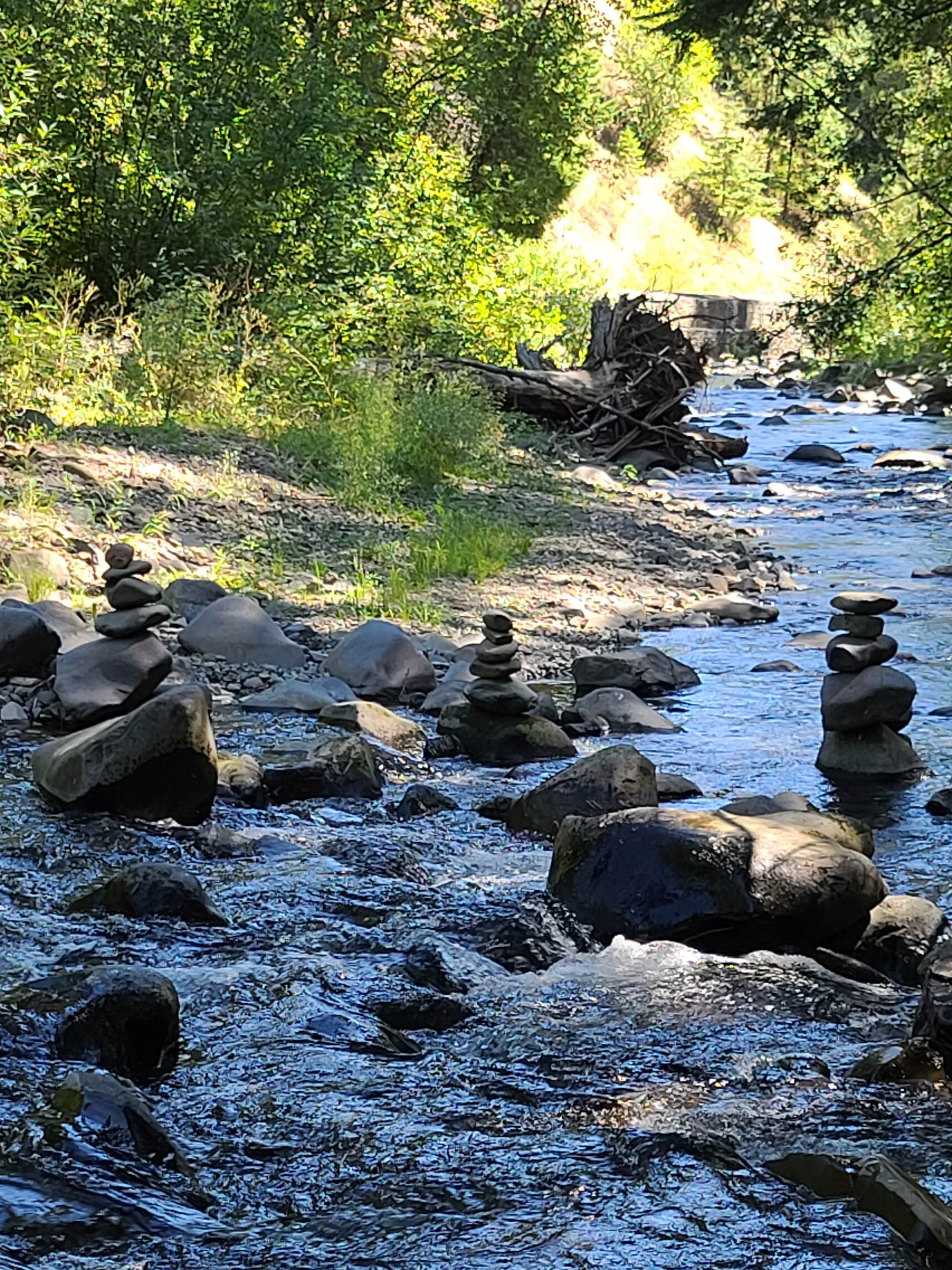 Camper-submitted photo at Taneum Junction near Cle Elum, WA