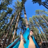 Review photo of Big Pine Campground by Hannah S., August 11, 2021