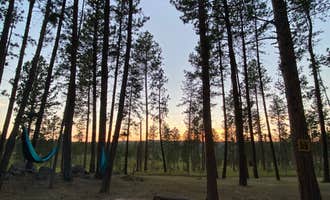 Camping near Heritage Village Campground: Big Pine Campground, Custer, South Dakota