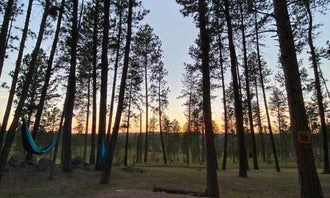Camping near Gold Camp Cabins: Big Pine Campground, Custer, South Dakota