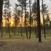 Review photo of Big Pine Campground by Hannah S., August 11, 2021