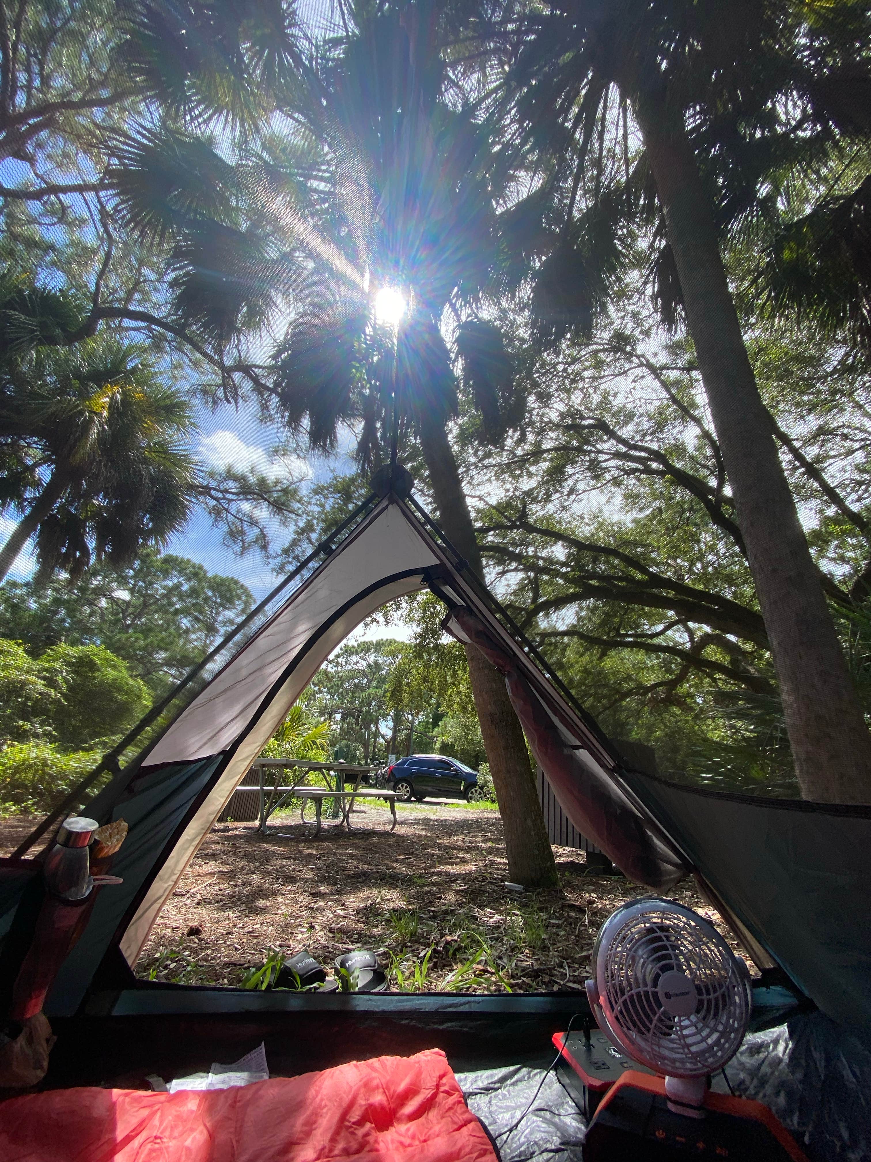 Vanessa A.'s photo at Davie / Fort Lauderdale KOA near Biscayne National Park