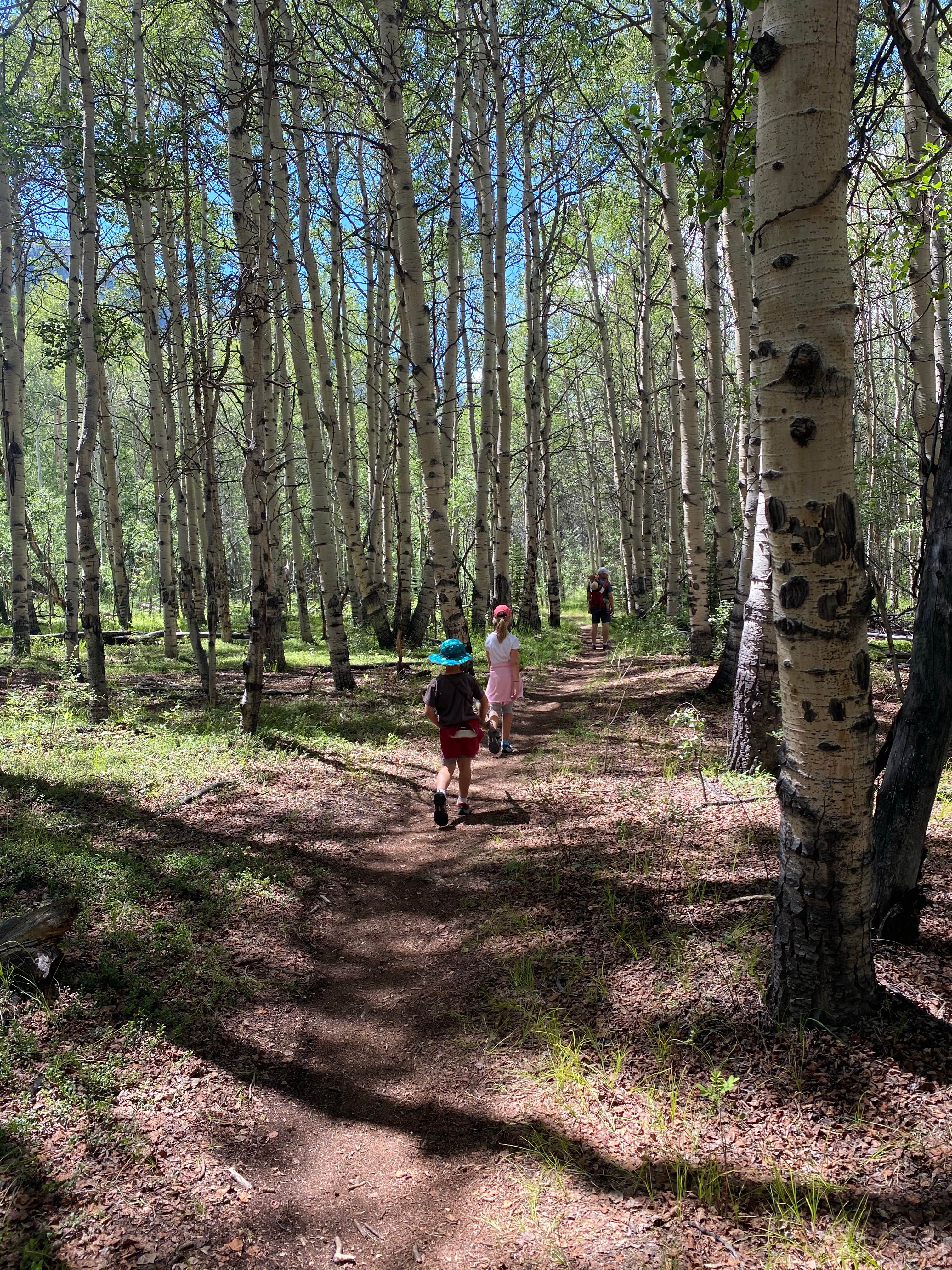Camper-submitted photo at Whitestar Campground near Granite, CO