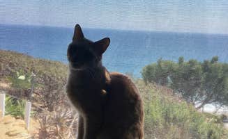 Shuree F.'s photo of camping with pets at Malibu Beach RV Park near Santa Monica, CA